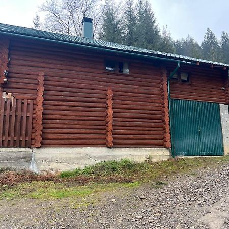 Farmstead Lisova Hostel Mizhhirya  Buitenkant foto