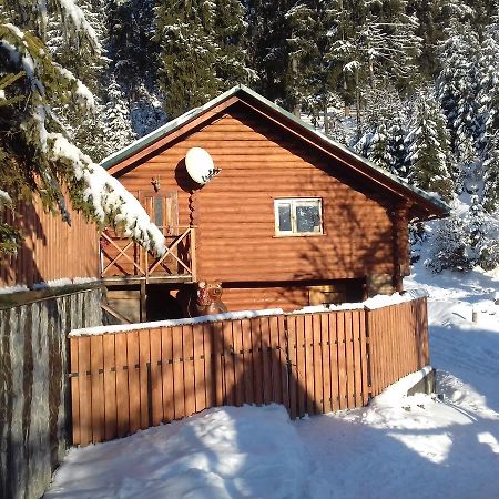 Farmstead Lisova Hostel Mizhhirya  Buitenkant foto