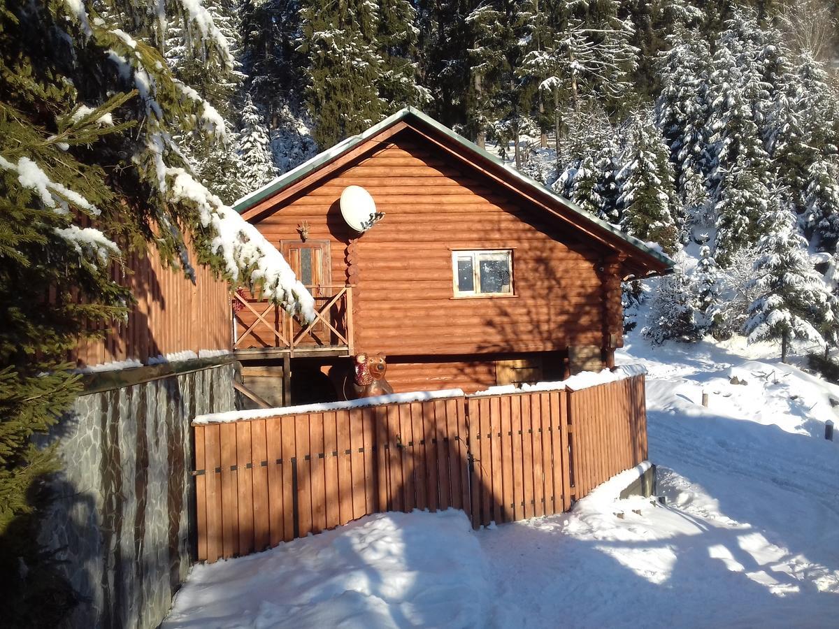 Farmstead Lisova Hostel Mizhhirya  Buitenkant foto