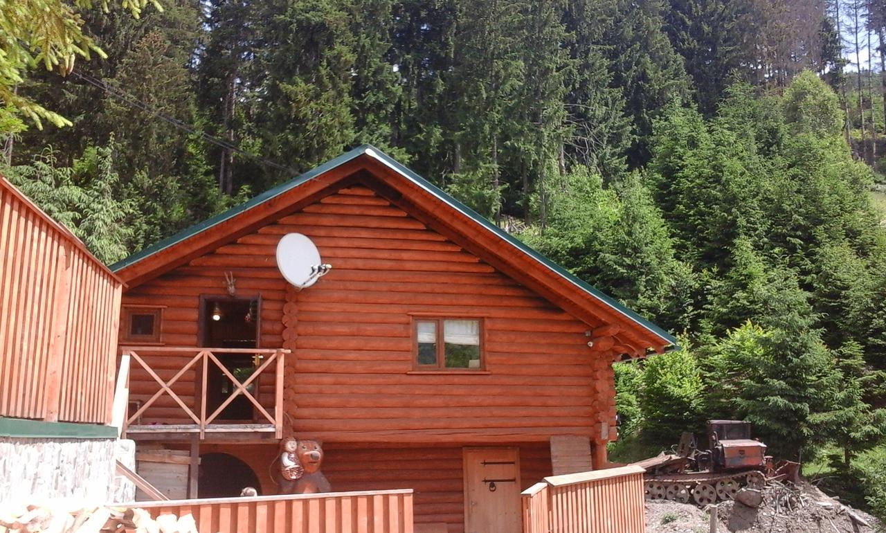 Farmstead Lisova Hostel Mizhhirya  Buitenkant foto